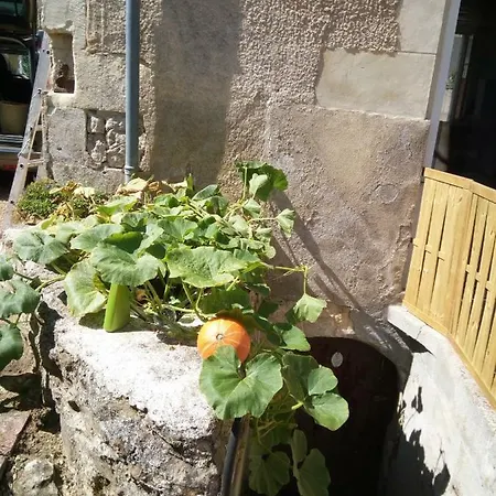 Mini Tribu De Beauval 2Ch Saint Aignan Jardin Et Parking Prive Villa Buitenkant foto