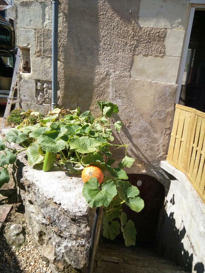 Mini Tribu De Beauval 4-6 Pers Cosy Aignan Saint-Aignan (Loir-et-Cher)